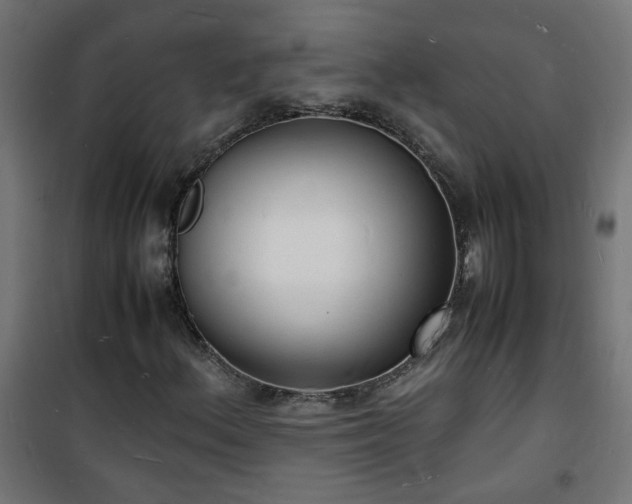 X0000101481156200807141408