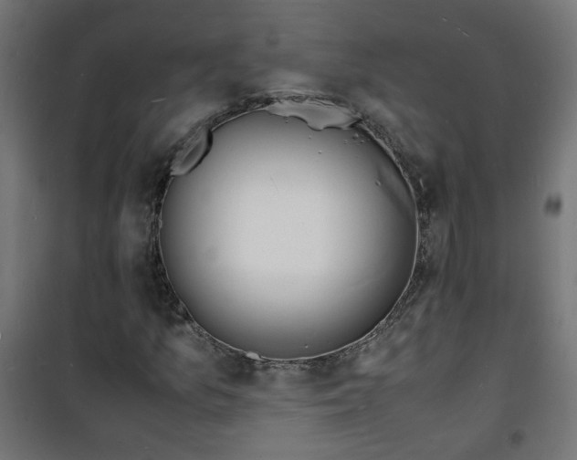 X0000101481157200807141408