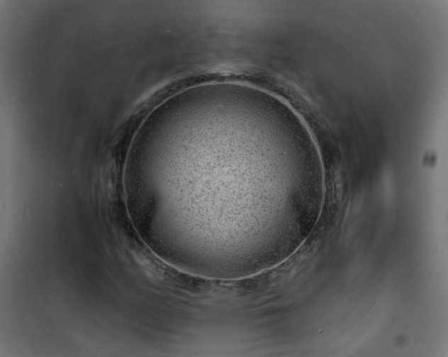 X0000101481158200807141408