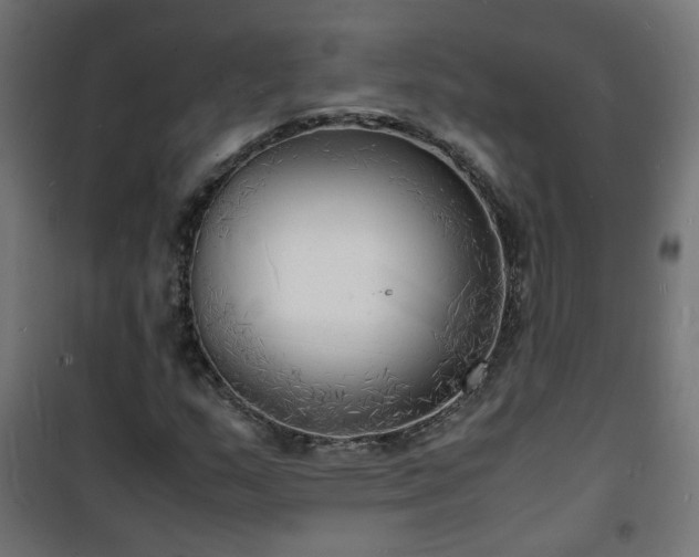 X0000101481159200807141408