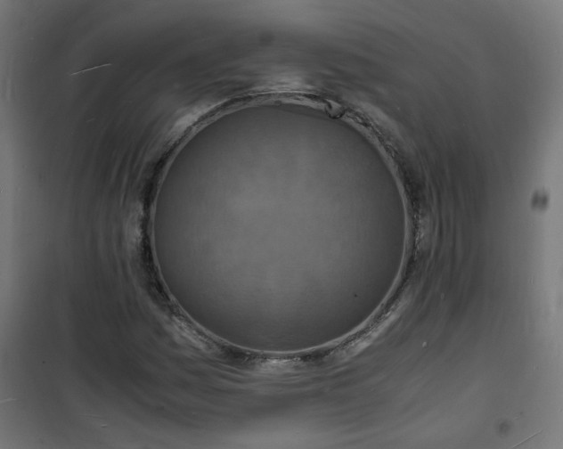 X0000101481161200807141408