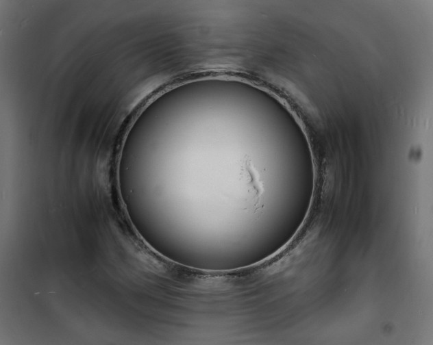 X0000101481162200807141408