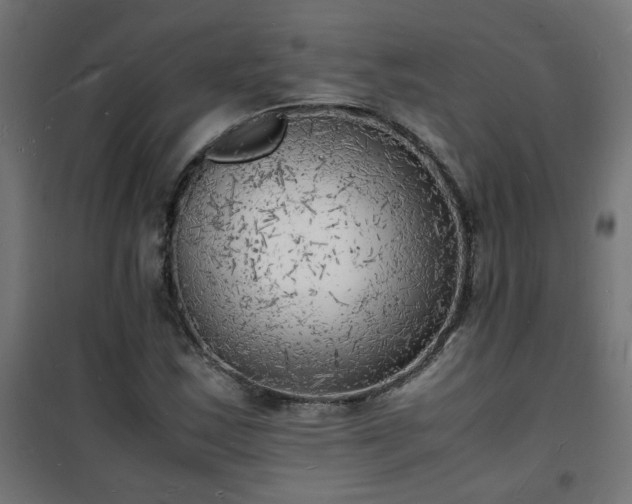 X0000101481163200807141408