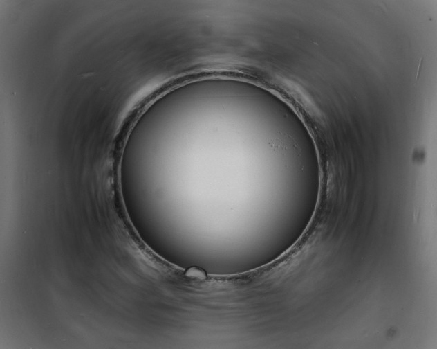 X0000101481164200807141408
