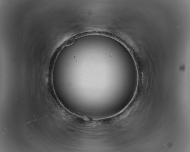 X0000101481165200807141408