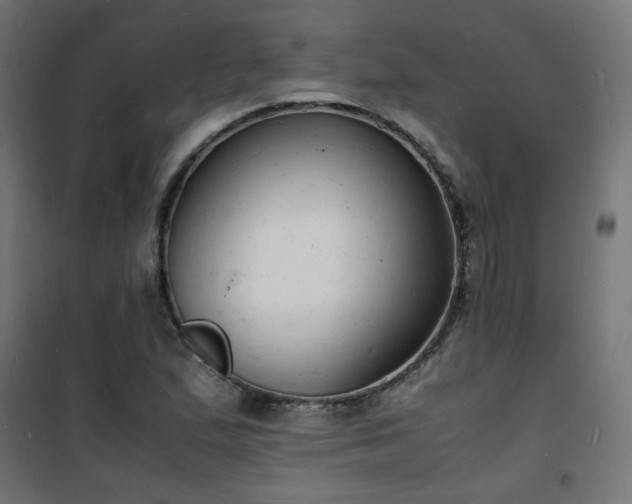 X0000101481167200807141408