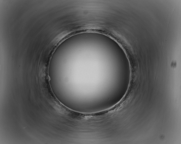 X0000101481169200807141408