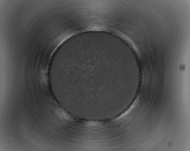 X0000101481170200807141408