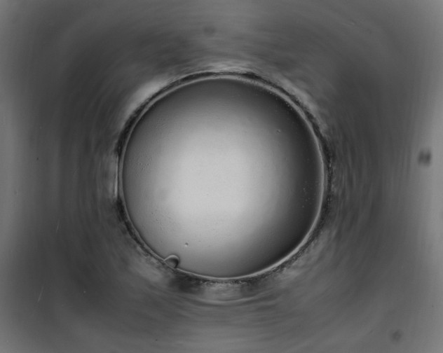 X0000101481171200807141408