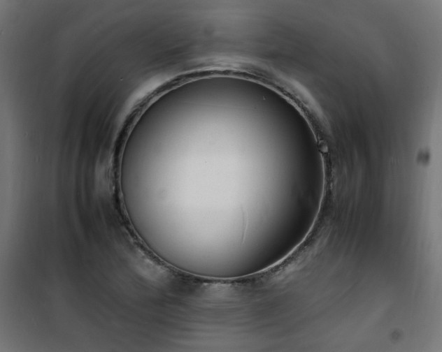 X0000101481172200807141408