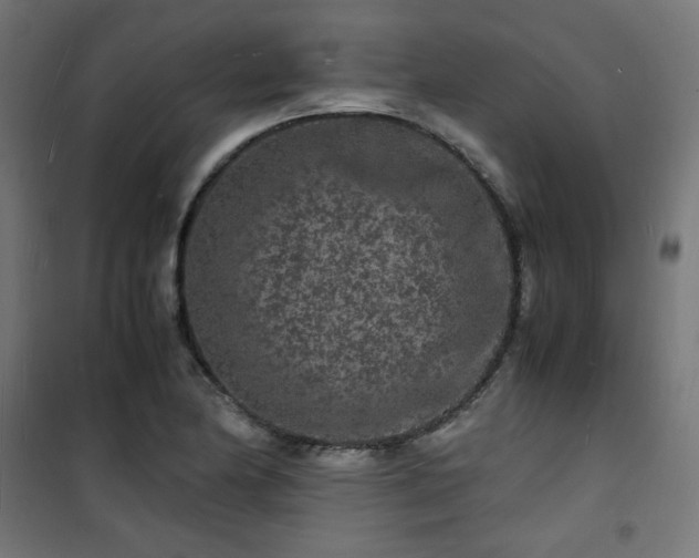X0000101481174200807141408