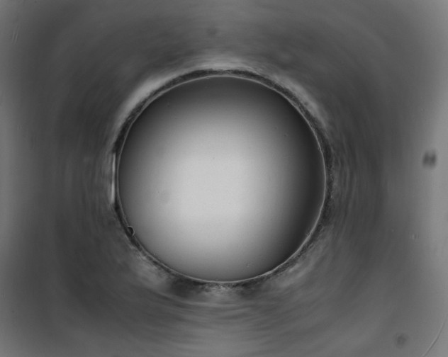 X0000101481175200807141408