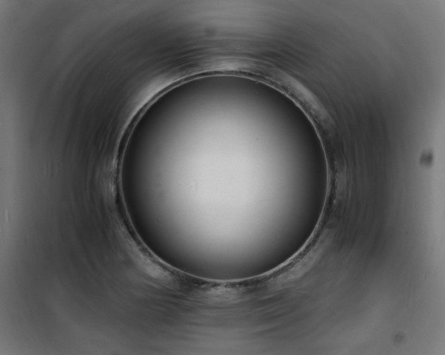 X0000101481178200807141408