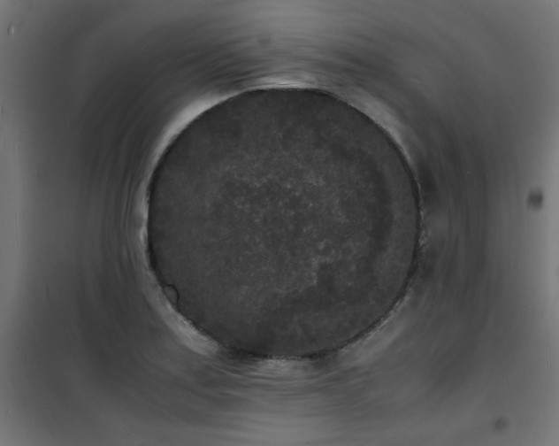 X0000101481179200807141408
