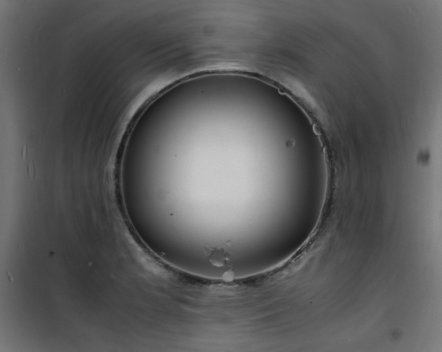 X0000101481181200807141408