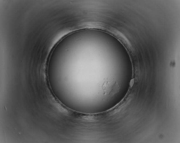 X0000101481182200807141407