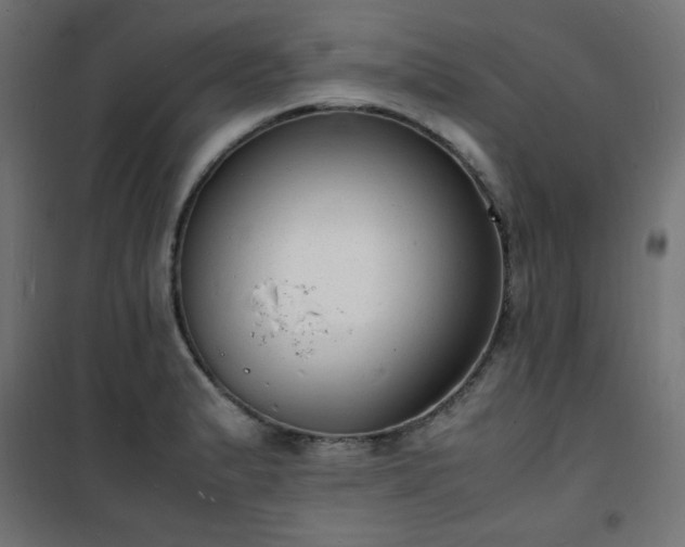X0000101481183200807141407