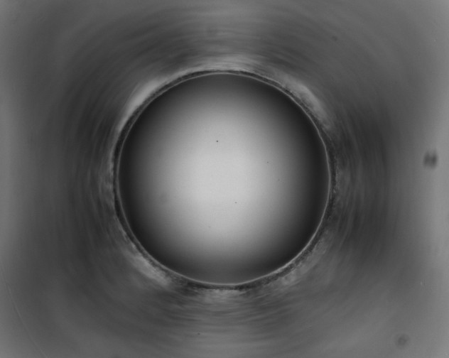 X0000101481184200807141407