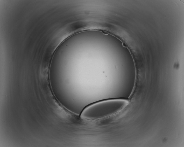 X0000101481185200807141407