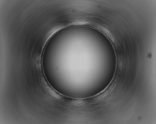 X0000101481186200807141407