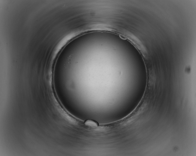 X0000101481188200807141407