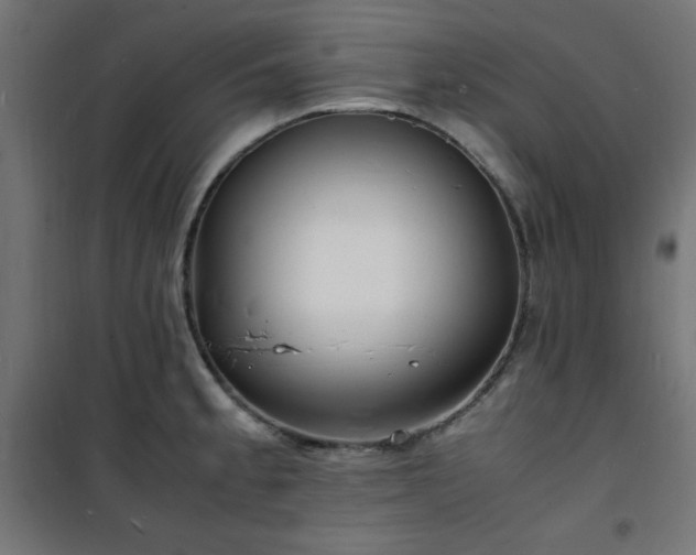 X0000101481189200807141407