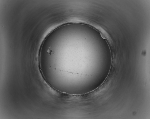 X0000101481191200807141407