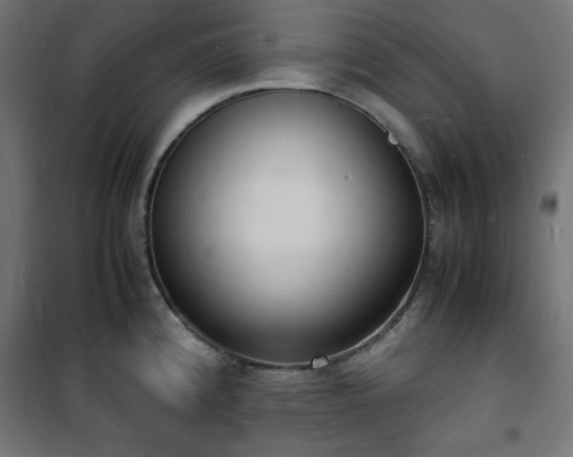 X0000101481192200807141407