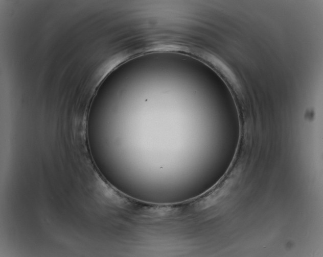X0000101481193200807141407