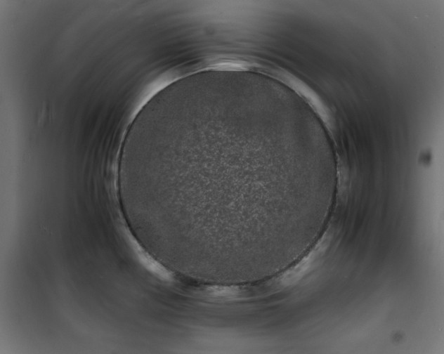 X0000101481194200807141407