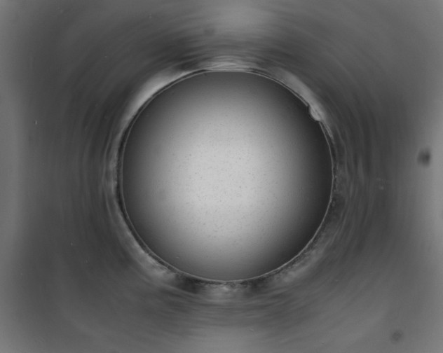 X0000101481195200807141407