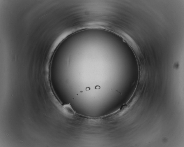 X0000101481196200807141407