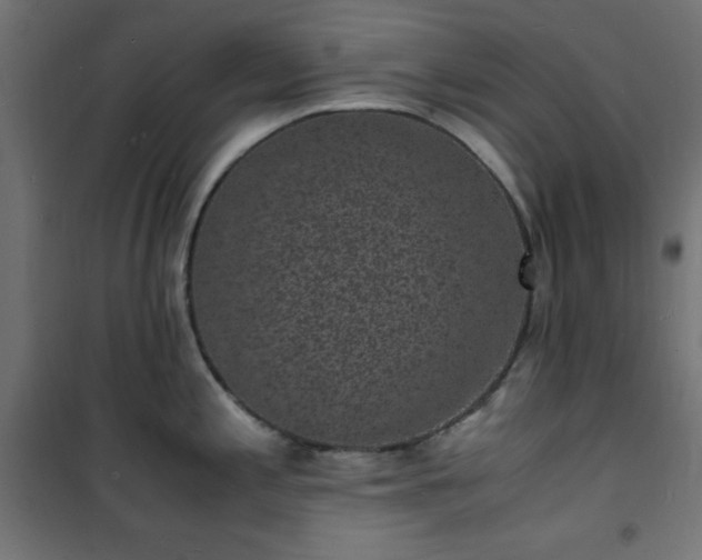 X0000101481197200807141407