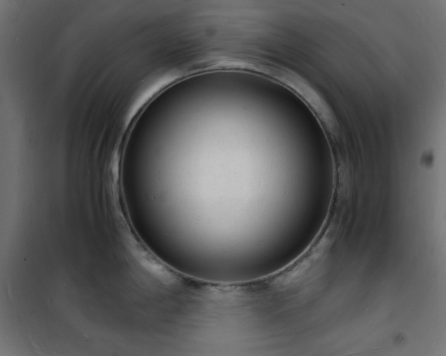 X0000101481198200807141407