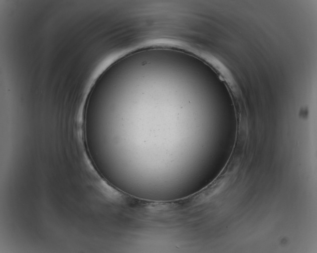 X0000101481199200807141407