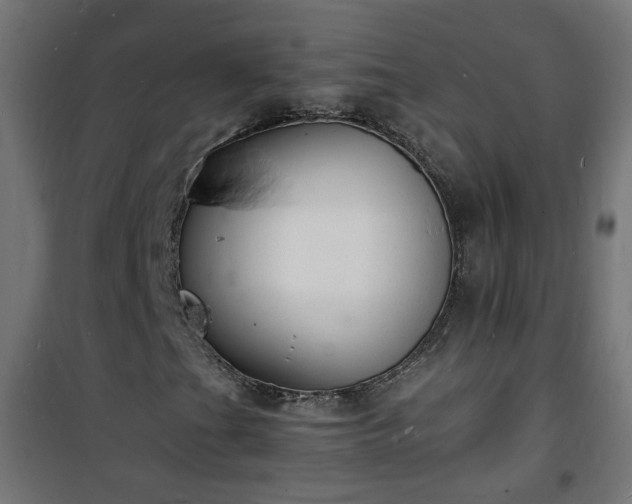 X0000101481201200807141407