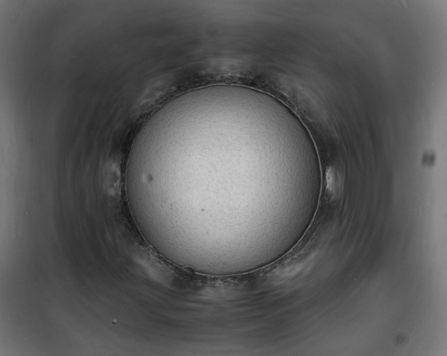 X0000101481203200807141407