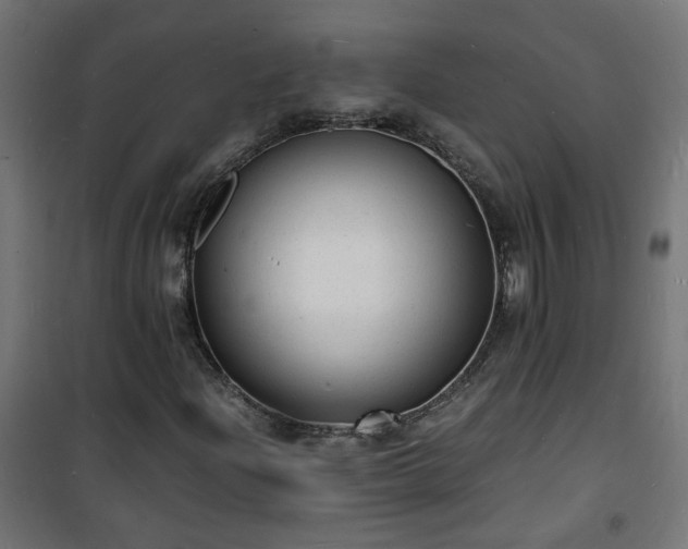 X0000101481204200807141407