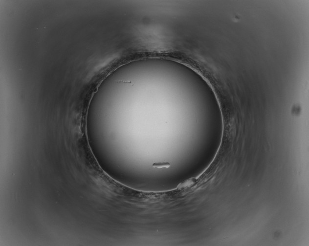 X0000101481205200807141407