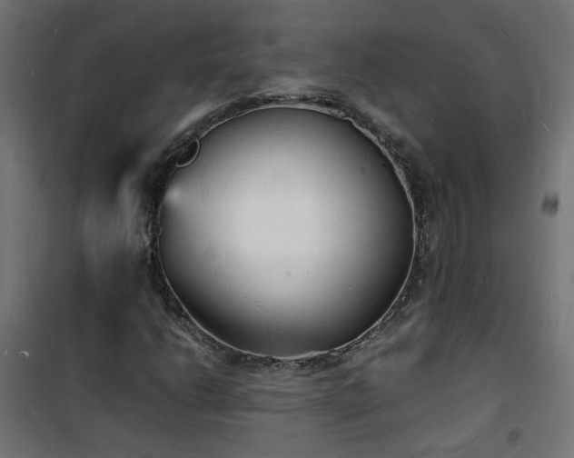 X0000101481206200807141407