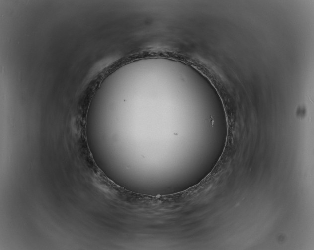 X0000101481207200807141407