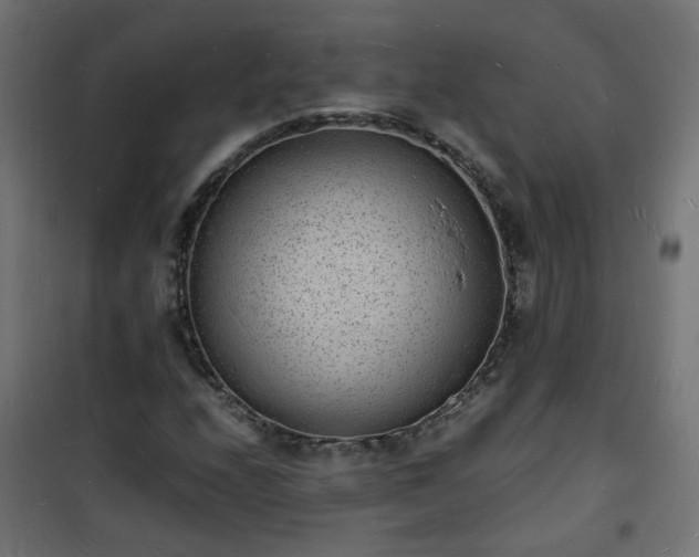X0000101481208200807141407
