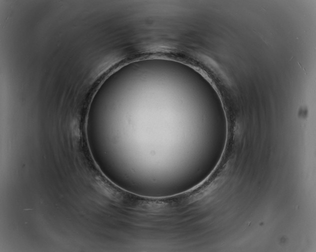 X0000101481209200807141407