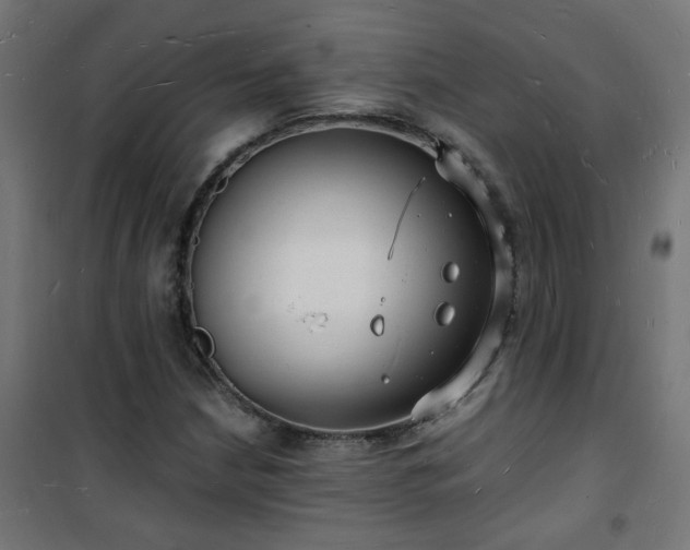 X0000101481210200807141407
