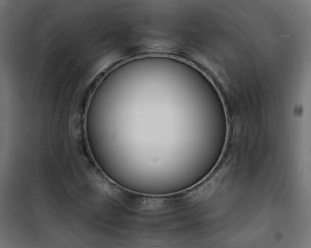 X0000101481211200807141407