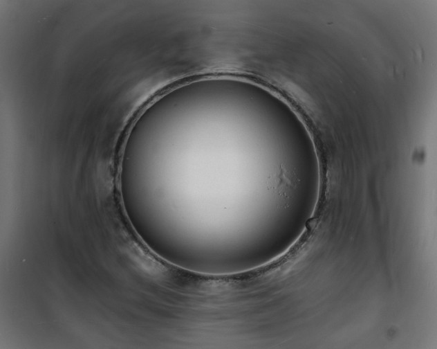 X0000101481212200807141407