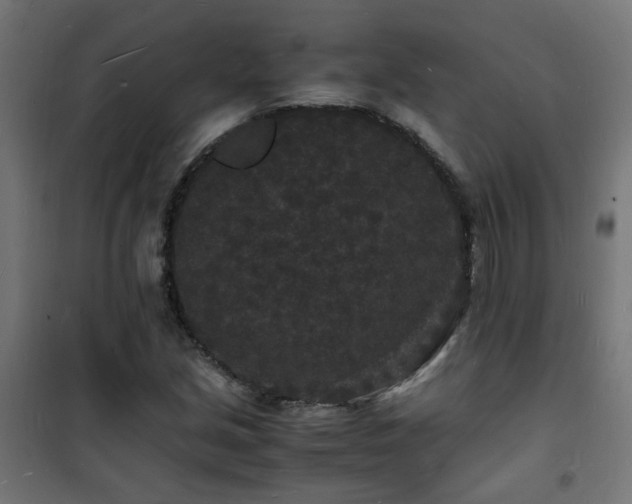 X0000101481213200807141407