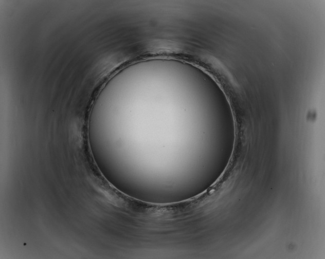 X0000101481217200807141407