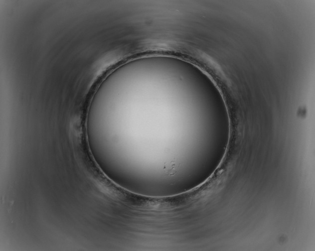 X0000101481218200807141407