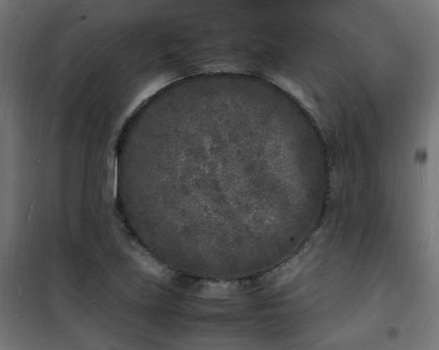 X0000101481219200807141407